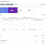 SEO Portfolio